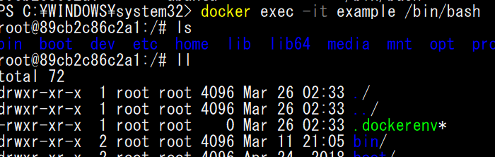 docker-exec